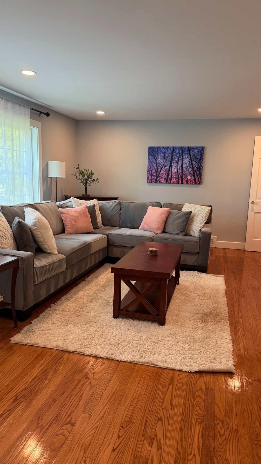 Regular home cleaning